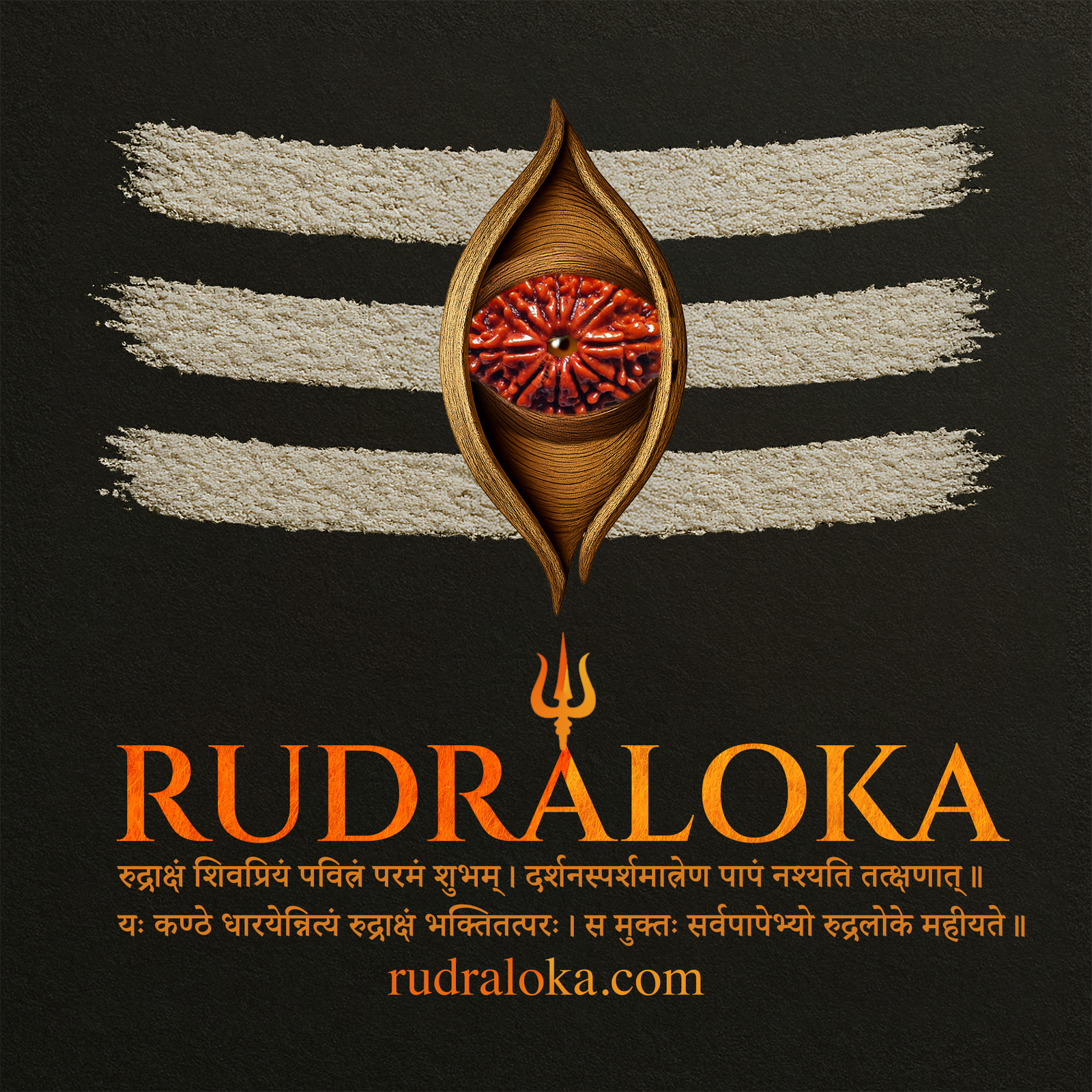 7 Mukhi Rudraksha - Goddess MahaLakshmi product image